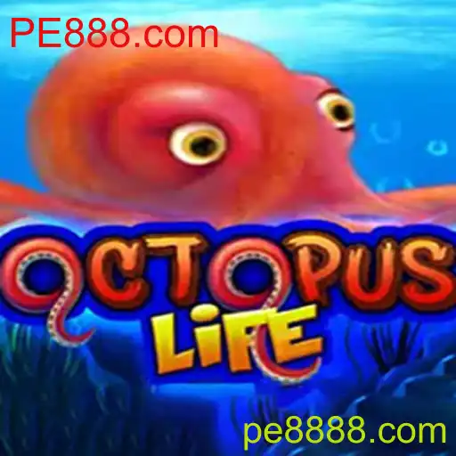 Explorando o Universo de OctopusLife